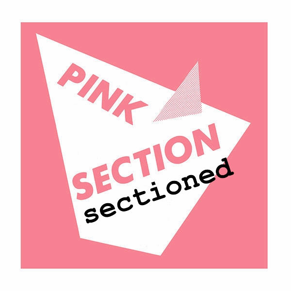 Pink-Section-Sectioned-Post-Punk