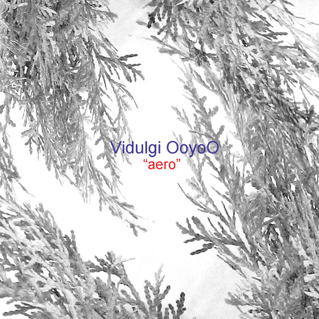 Vidulgi-OoyoO-Aero-Album-Cover