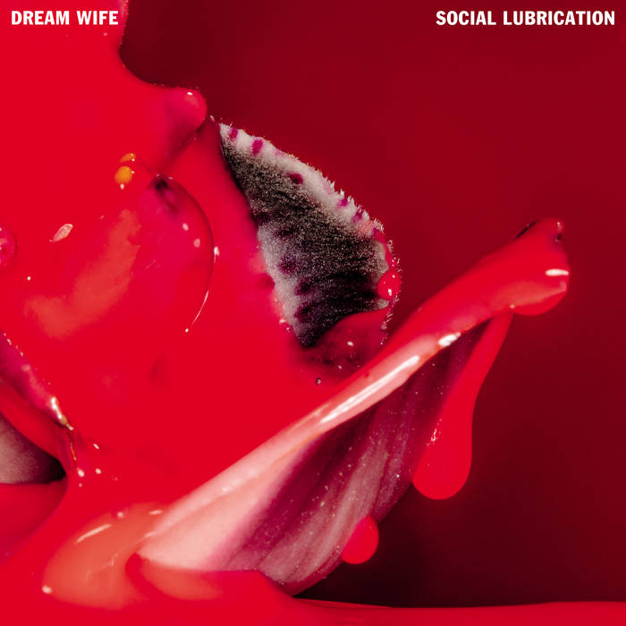Album-Terbaru-Dream-Wife-Social-Lubrication