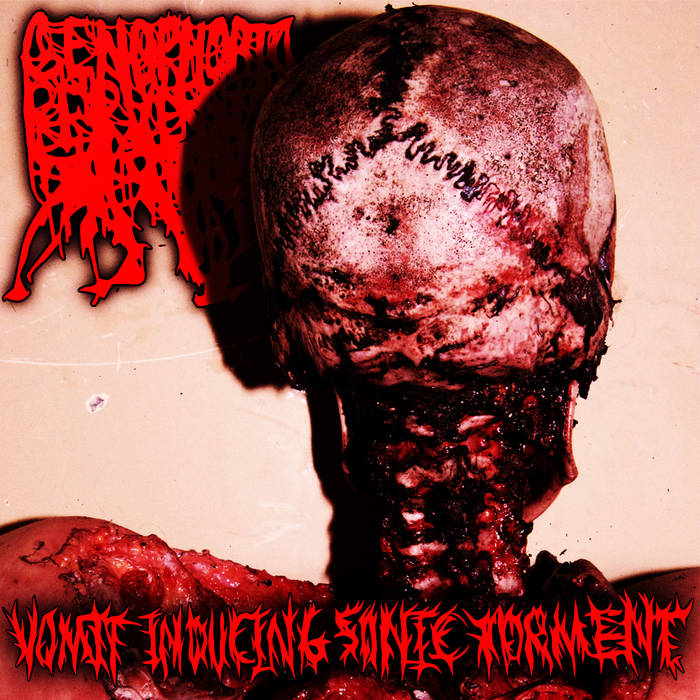 Album-Terbaru-Genophobic-Perversion-Vomit-Inducing-Sonic-Torment