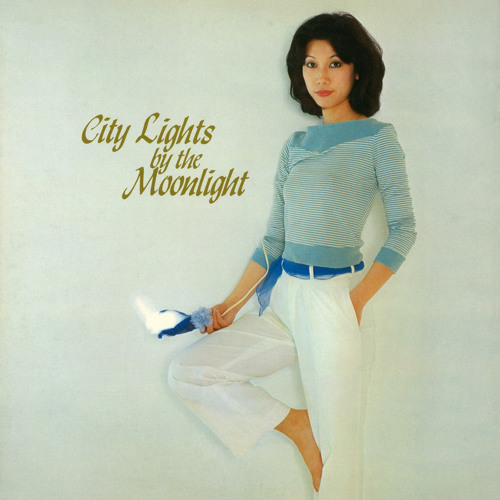 Tomoko-Soryo- City-Lights-by-the-Moonlight